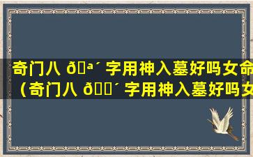 奇门八 🪴 字用神入墓好吗女命（奇门八 🐴 字用神入墓好吗女命好不好）